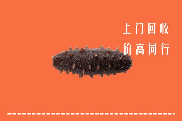 红河高价回收海参