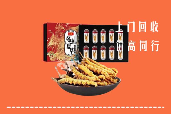 红河回收虫草